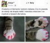 Alicja nie powinna mieć zwierząt