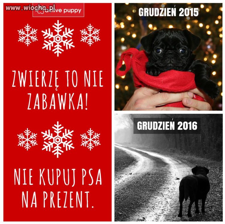 Zastanów się co kupujesz na prezent 