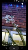 Uk merry christmas