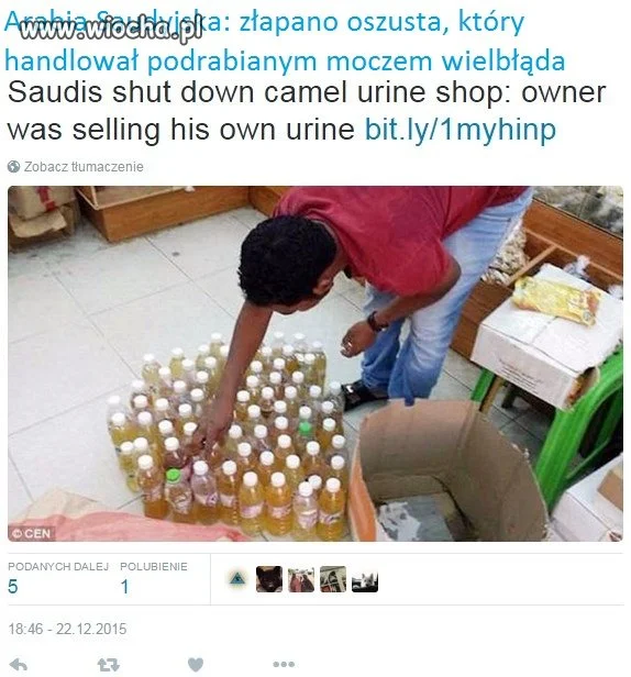 Podrabiany mocz wielbłąda...