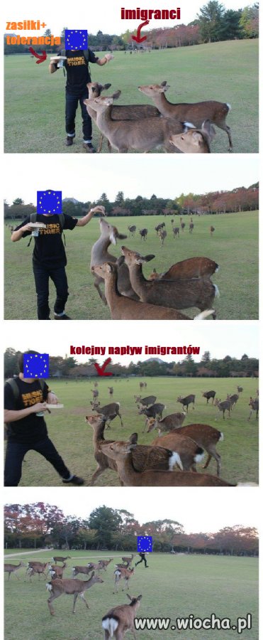 Historia Unii