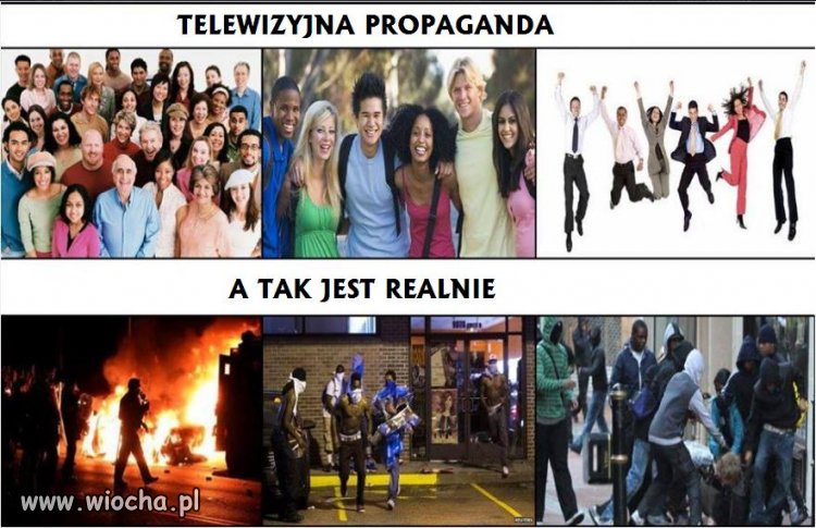 Telewizyjna propaganda vs rzeczywistość.