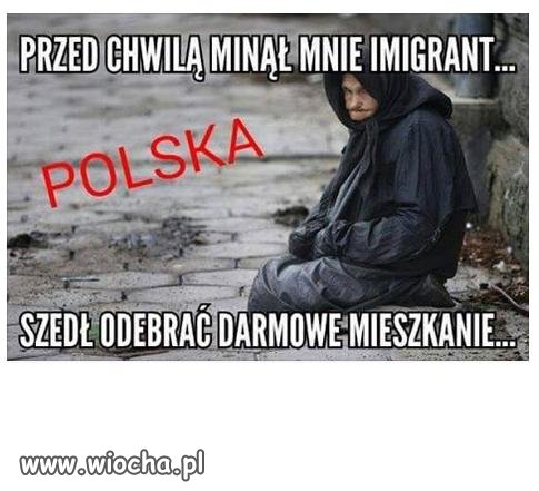 Przed chwilą minął mnie imigrant.