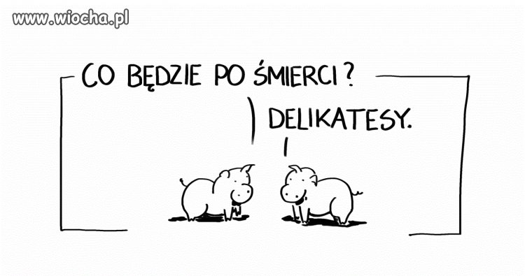 Świąteczne klimaty