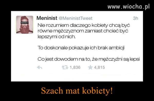 Mały kamyczek do ogródka 