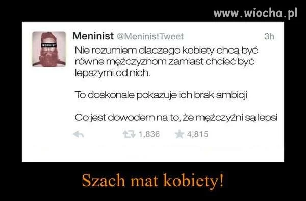 Mały kamyczek do ogródka 