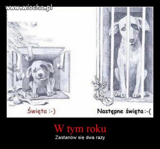 Idą święta...