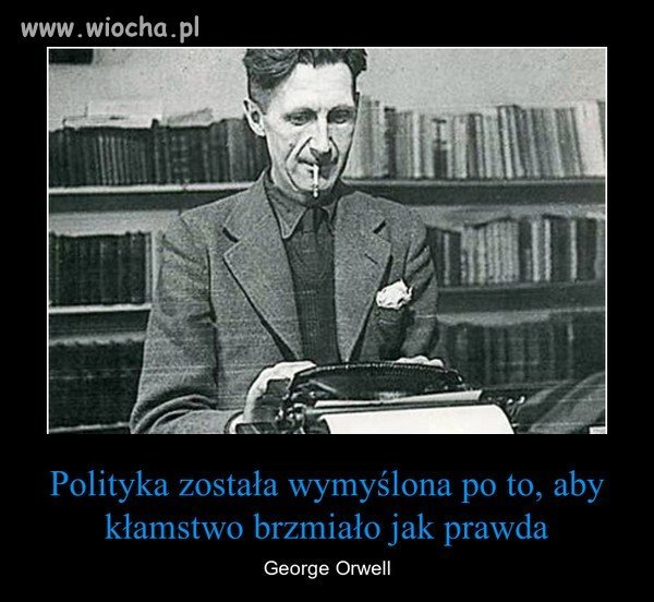 Cytat