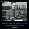Cytat