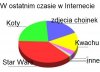 Internet