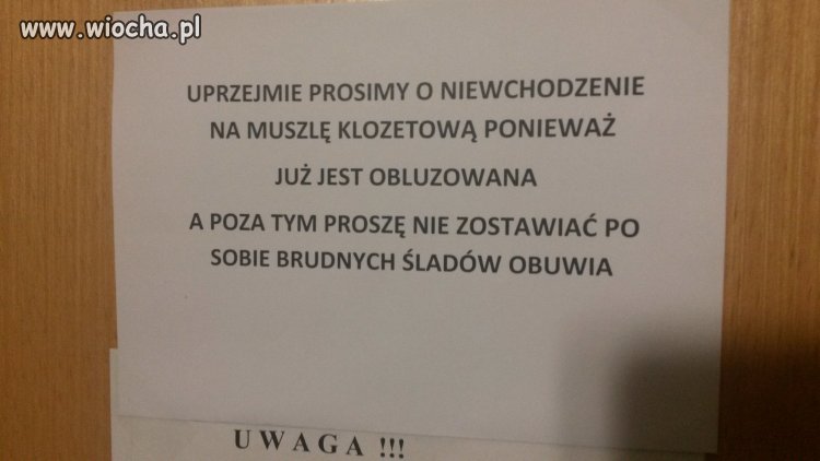 W toalecie w zus Wrocław 