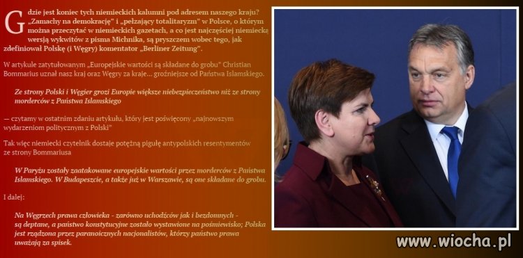 "Polacy i Węgrzy gorsi od Islamistów" 