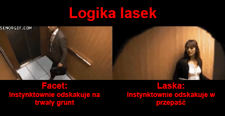 Logika kobiet