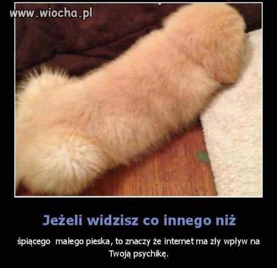 Co to tak ???