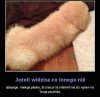 Co to tak ???