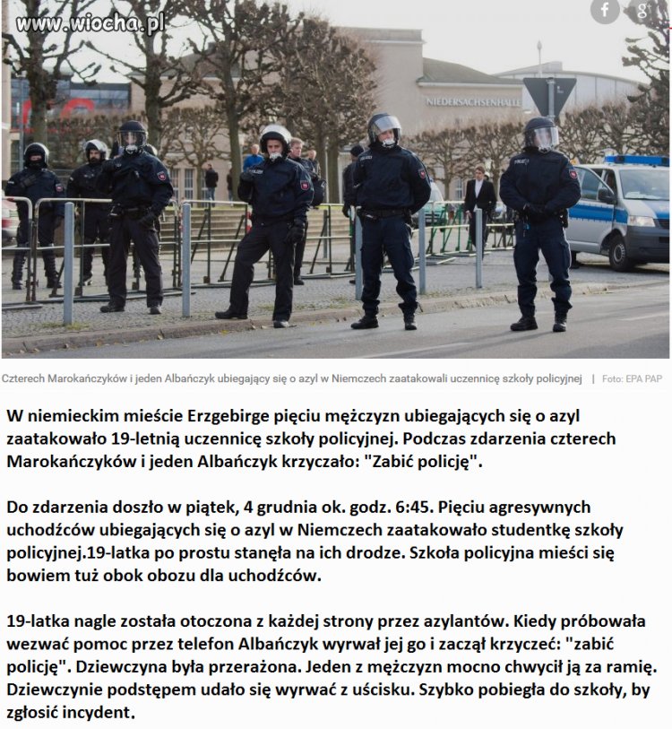 Imigranci, uchodźcy - psia mać