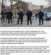 Imigranci, uchodźcy - psia mać