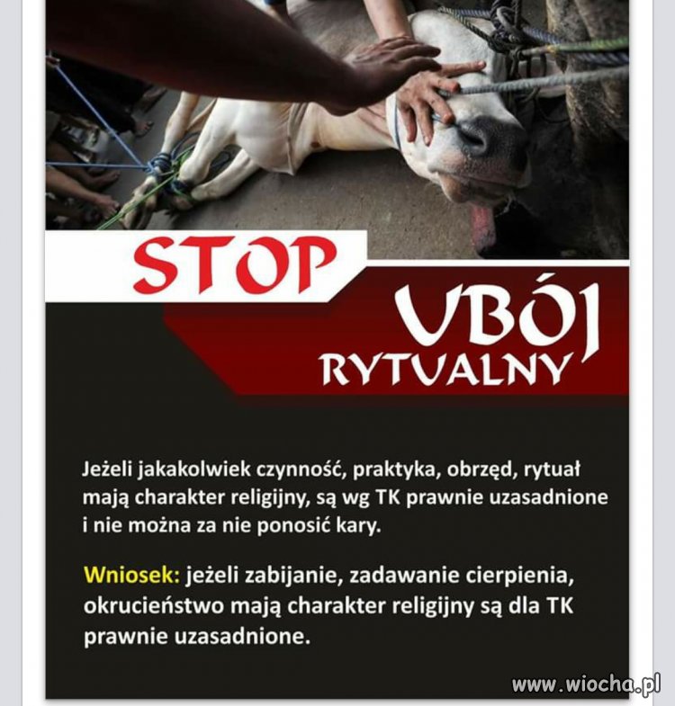 Najpierw uznali za nielegalne.
