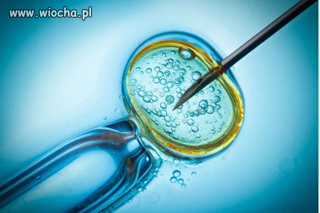 Koniec finansowania metody in vitro. Tak wygląda