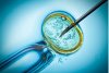 Koniec finansowania metody in vitro. Tak wygląda