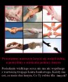 Pomaganie nie jest trudne, trzeba tylko chcieć 