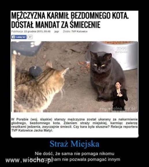 MOŻECIE MI POWIEDZIEĆ