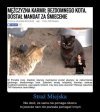 MOŻECIE MI POWIEDZIEĆ