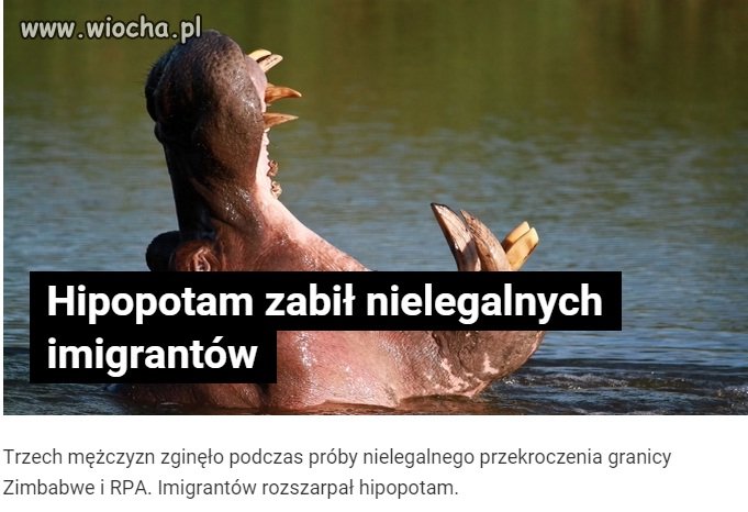 Już go lubię