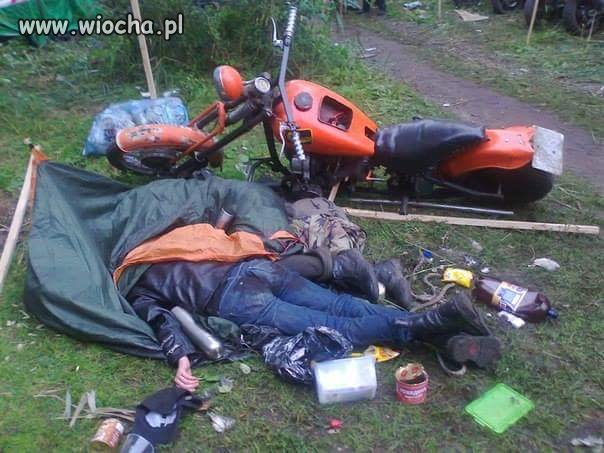 Zloty Harley-Davidson