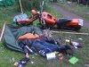 Zloty Harley-Davidson