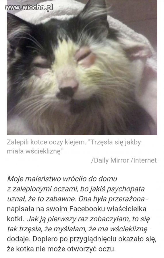 Bydlaki bez serca.
