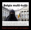 Tymczasem w Belgii