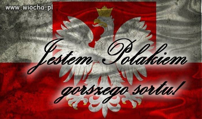I nie wstydzę się