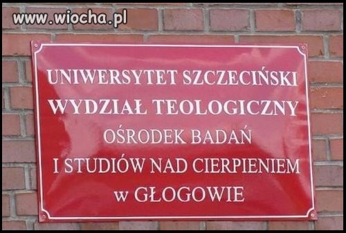 Cierpienie w Głogowie