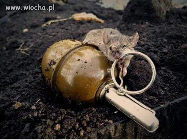 Zdjęcie zrobione na froncie przez ukraińskiego