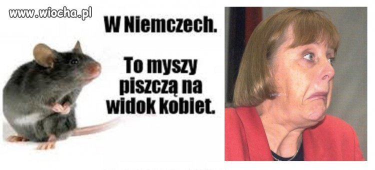  kto nie ma szczęścia w miłości... 