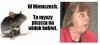  kto nie ma szczęścia w miłości... 