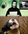 11 grudnia dniem trollowania terrorystów...