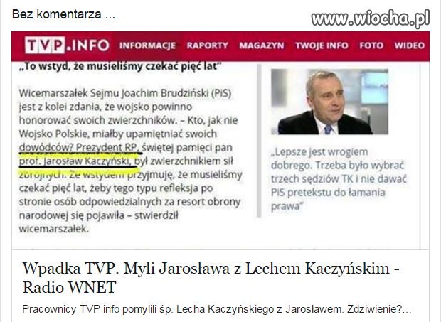 Dziennikarskie miernoty