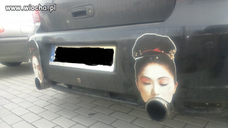Łogień z ryja 
