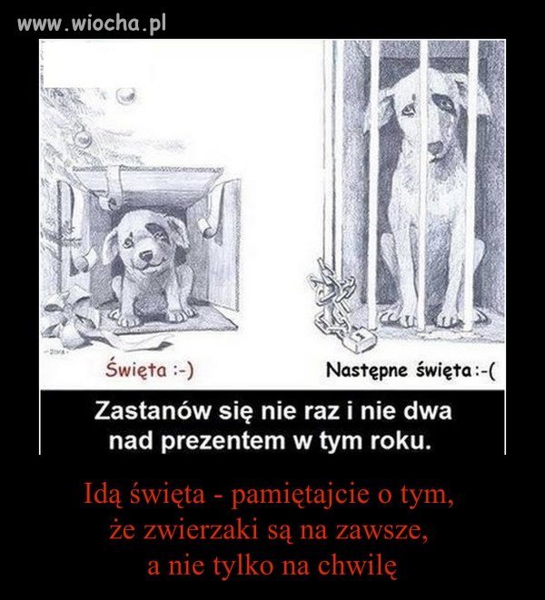 Warto się zastanowić czy warto.