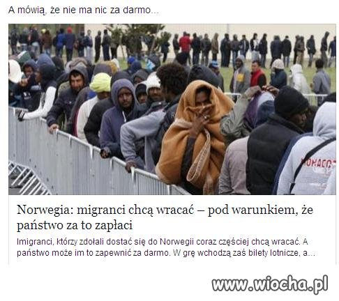 Norwegia płaci imigrantom za opuszczenie kraju.
