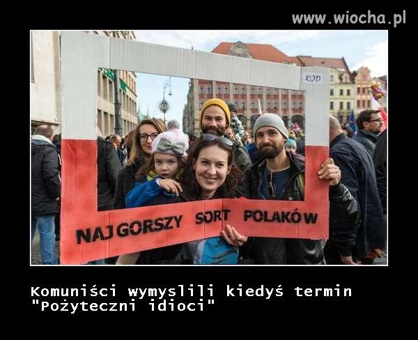Każda idea wymaga "wiernych wyznawców"