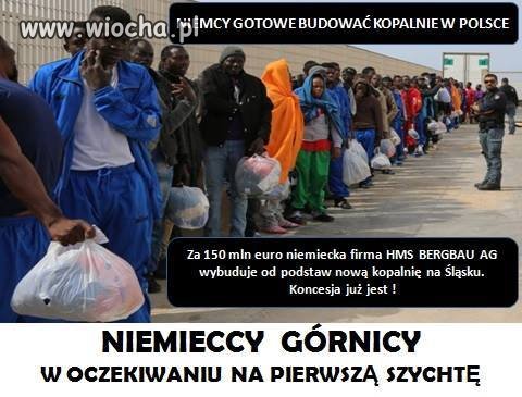 Nie ma co się buntować