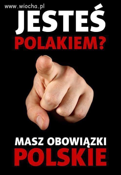 Nic dodać