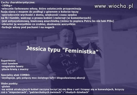 Trafna charakterystyka feministki.