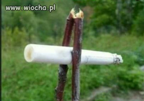 Gimby nie znają