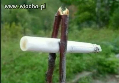 Gimby nie znają