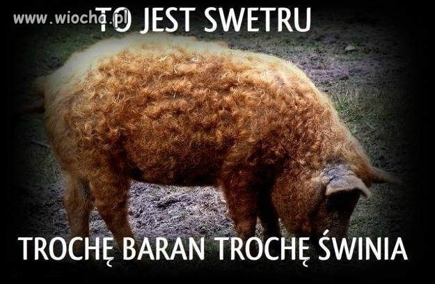BARDZIEJ TO DRUGIE