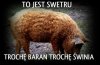 BARDZIEJ TO DRUGIE